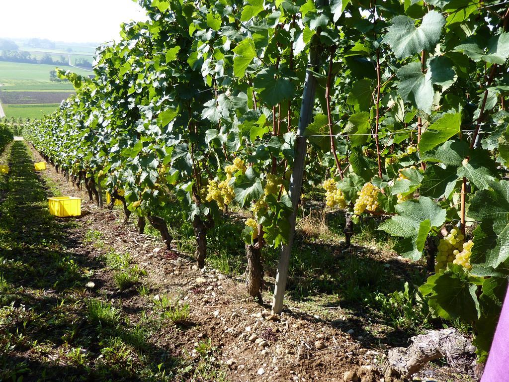 Bnb Tuileries Grandson Εξωτερικό φωτογραφία